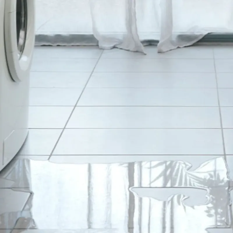 Appliance Leak Cleanup in Kings Beach, CA